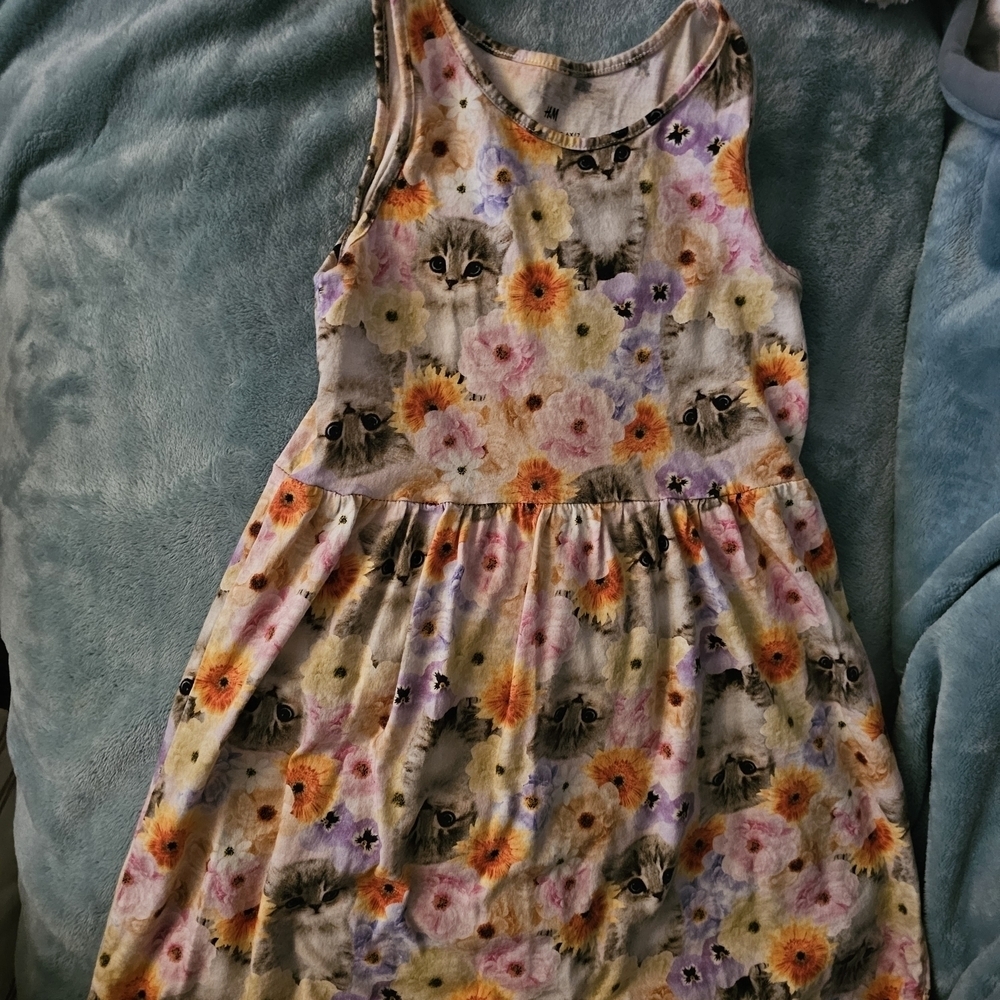 H&M Multicolor Floral Dress